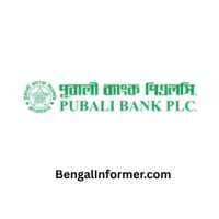 পুবালী ব্যাংক পিএলসি (pubali bank plc) নিয়োগ বিজ্ঞপ্তি ২০২৬ - আইসিটি (ict) পদে বিশাল চাকরির সুযোগ - পুবালী ব্যাংক পিএলসি (Pubali Bank PLC) Bank Job Circular Bangladesh 2025